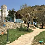 Koy Evi