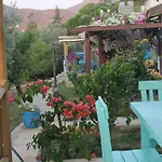 Koy Evi