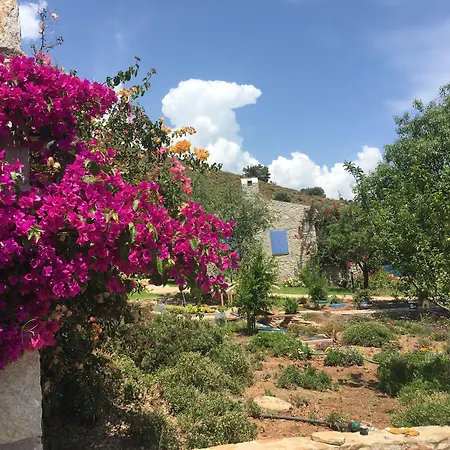 Koy Evi Апарт-отель *