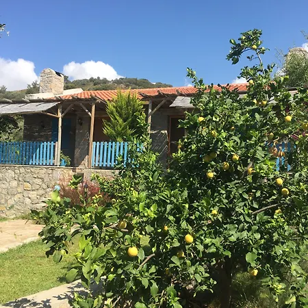 Koy Evi * Паламутбуку