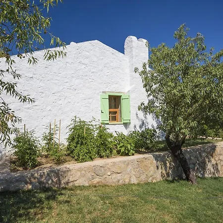 Апарт-отель Koy Evi Паламутбуку