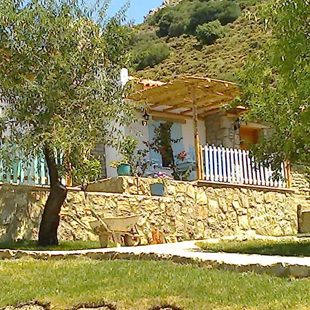 Koy Evi Palamutbuku