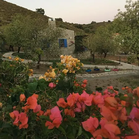 Koy Evi Апарт-отель Паламутбуку