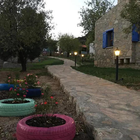 Koy Evi