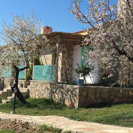 Koy Evi Palamutbuku