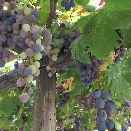 Koy Evi Апарт-отель *