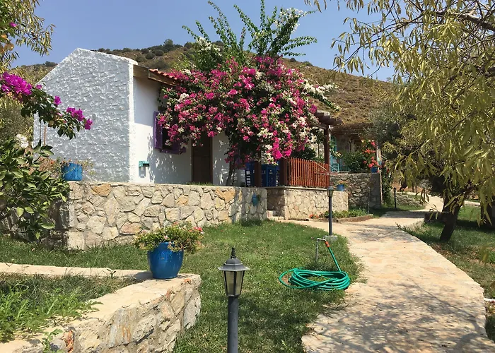 Koy Evi * Palamutbuku