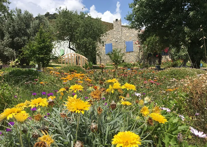 Aparthotel Koy Evi Palamutbuku