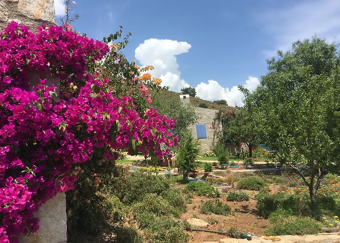 Koy Evi Aparthotel *