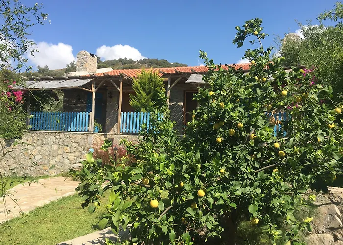 Koy Evi * Palamutbuku