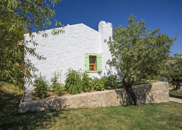 Aparthotel Koy Evi Palamutbuku