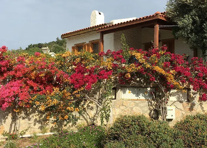 Aparthotel Koy Evi Palamutbuku