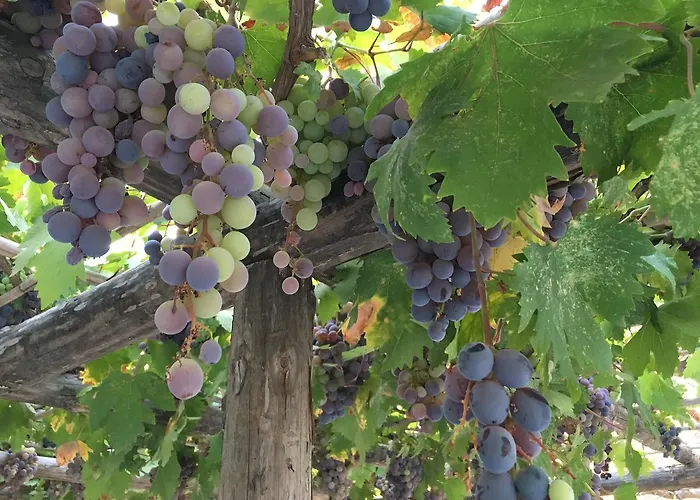 Koy Evi Aparthotel *