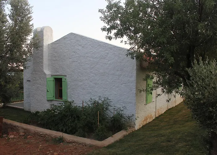 Aparthotel Koy Evi *