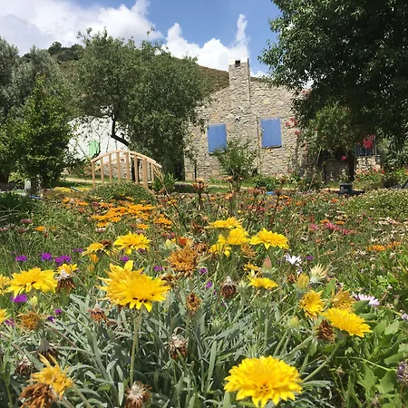 Lejlighedshotel Koy Evi Palamutbuku