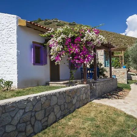 Koy Evi Lejlighedshotel *