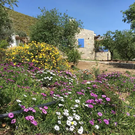 Koy Evi Lejlighedshotel *