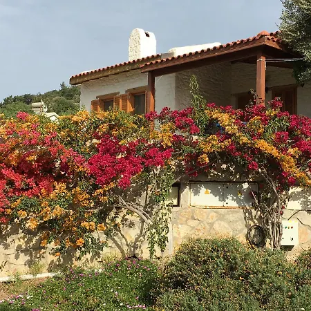 Lejlighedshotel Koy Evi Palamutbuku