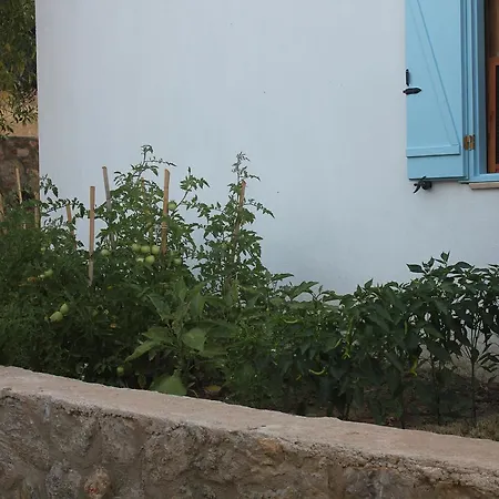 Koy Evi Lägenhetshotell *